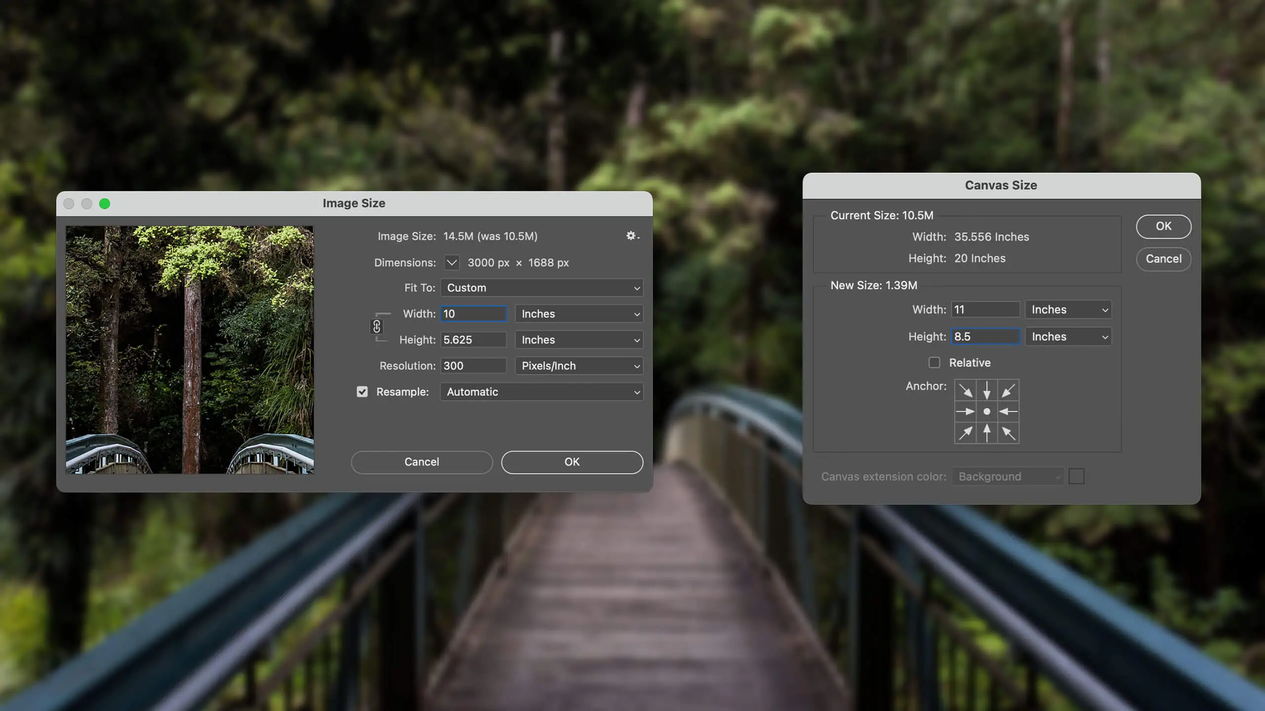 Photoshop’s Image Size and Canvas Size dialog boxes over a photo of a wooden bridge in a forest.