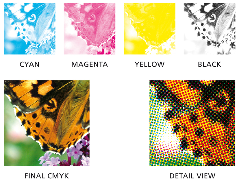 A butterfly photo split into its cyan, magenta, yellow and black layers, the final combined image, and a close-up showing the dot pattern.
