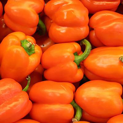 Orange bell peppers piled together