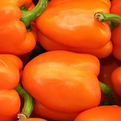 Orange bell peppers piled together (detail, lower right)