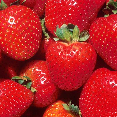 Ripe red strawberries with green caps