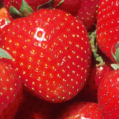 Ripe red strawberries with green caps (detail, upper left)